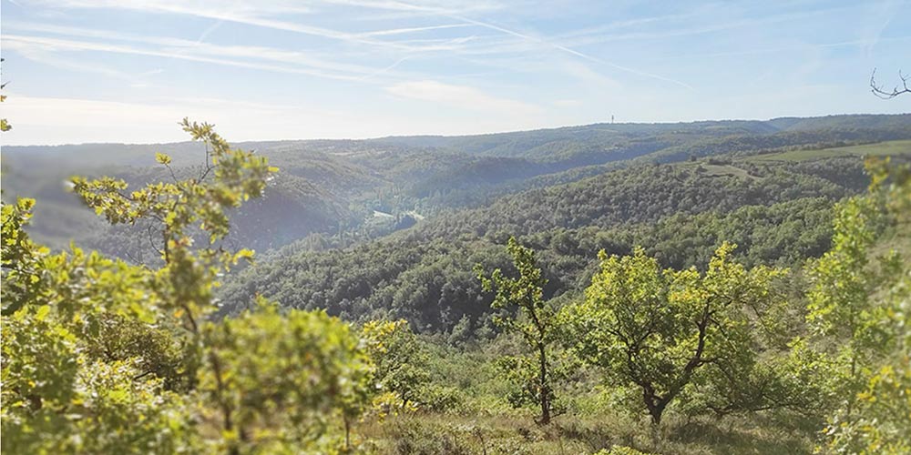 Douelle et environs 07/10/21