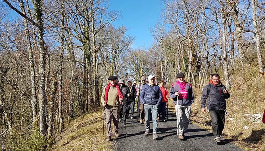 Lamothe Cassel 02/02/2023