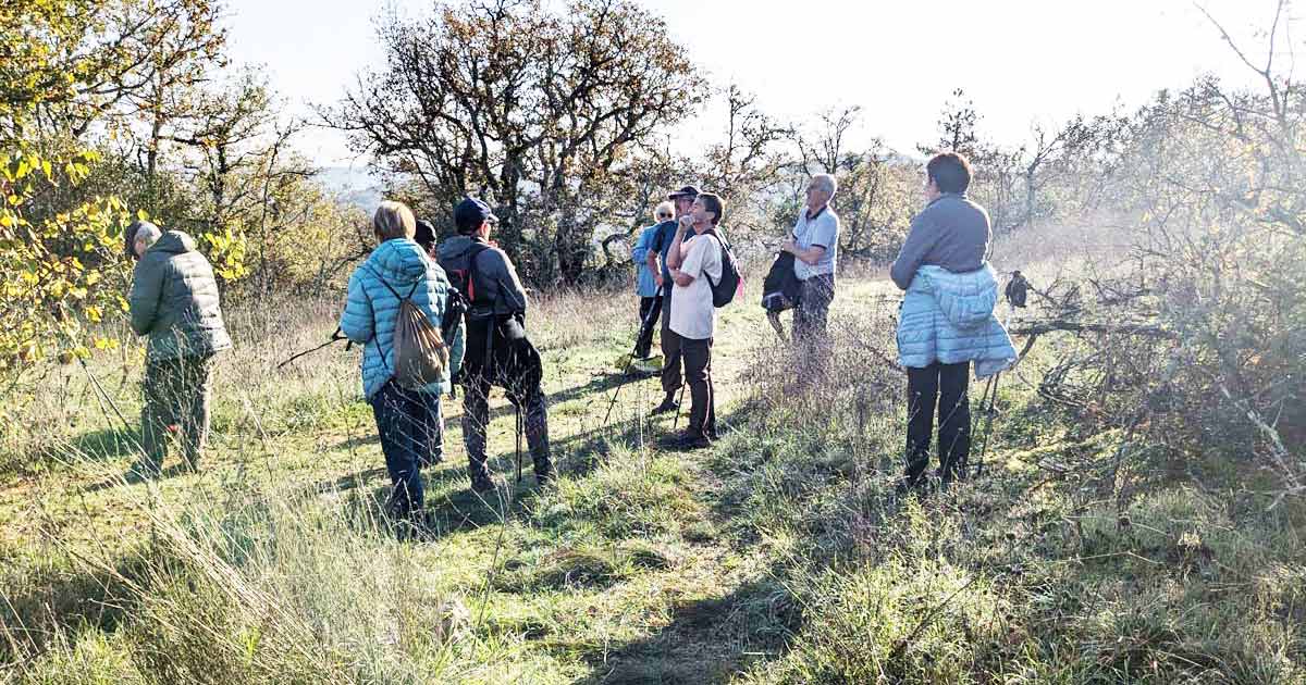 Mont Saint-Cyr 07/11/2024